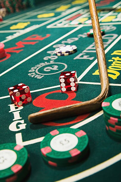 dwghoki platform dashboard showing sportsbook, live dealer, and slot game options